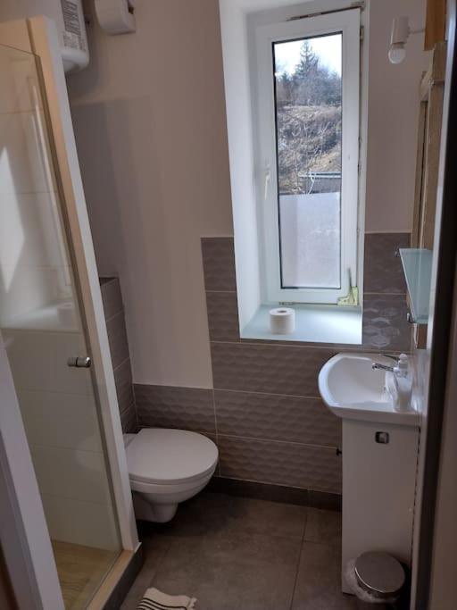 Sudety Hut 3 Apartman Podgórzyn Kültér fotó